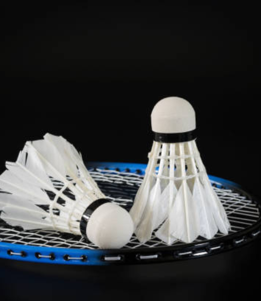 Badminton Program in Brampton
