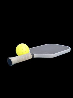 Pickleball Program in Brampton 