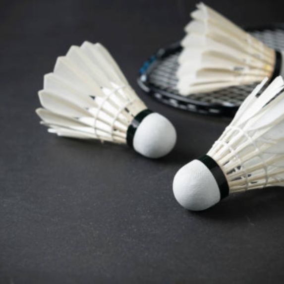 Badminton Program in Brampton