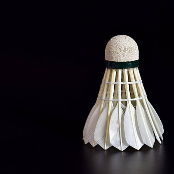 Badminton Program in Brampton